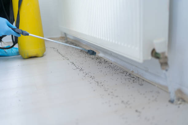 Best Pest Prevention Services  in Montpelier, OH